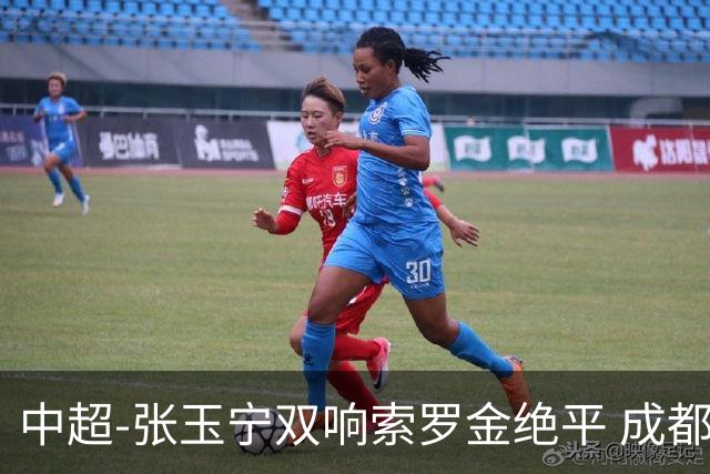 中超-张玉宁双响索罗金绝平 成都连扳两球2-2国安4连平