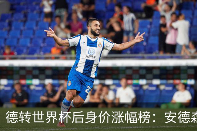 德转世界杯后身价涨幅榜：安德森、贝林厄姆领衔，沃齐尼亚翻十倍