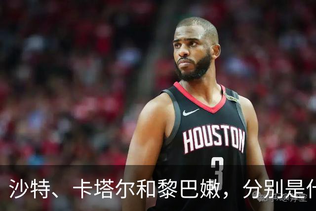 沙特、卡塔尔和黎巴嫩，分别是什么水平？
